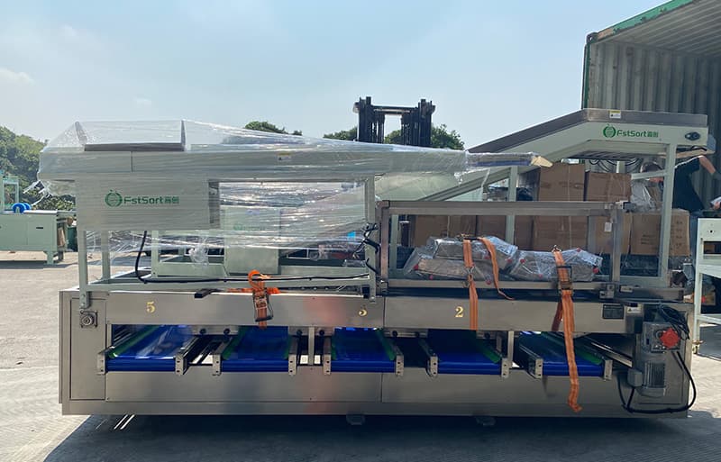 fruit sorting equipment.jpg